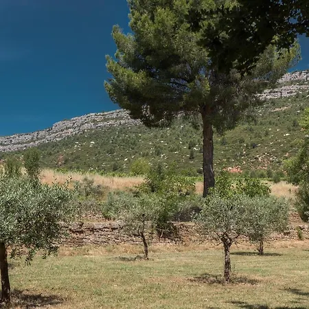 Domaine De La Galiniere Holiday home